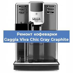 Чистка кофемашины Gaggia Viva Chic Gray Graphite от кофейных масел в Волгограде